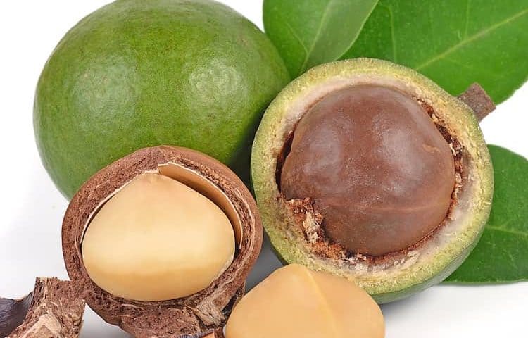 Makadamia nuts