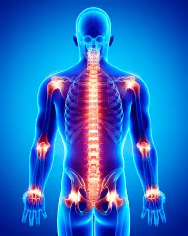 Healthy joints