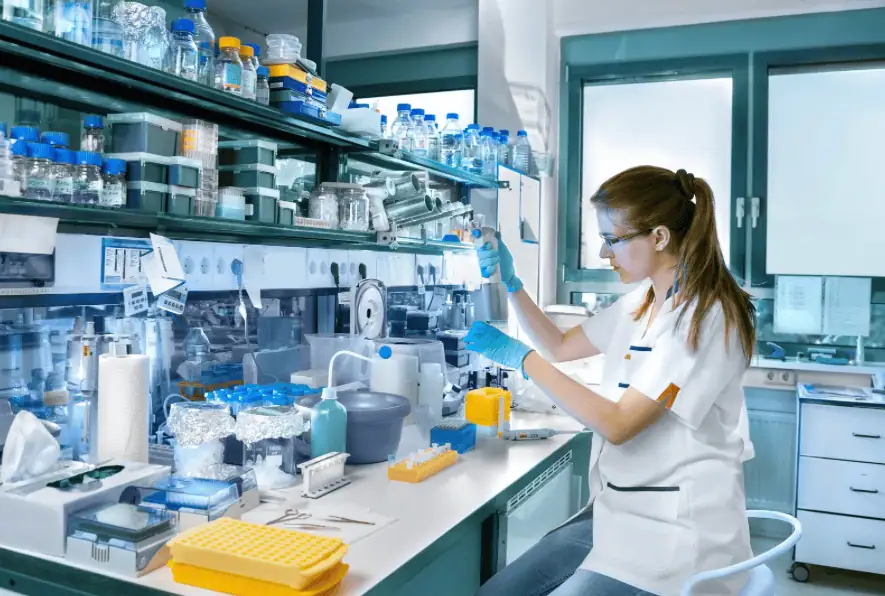 Investigación